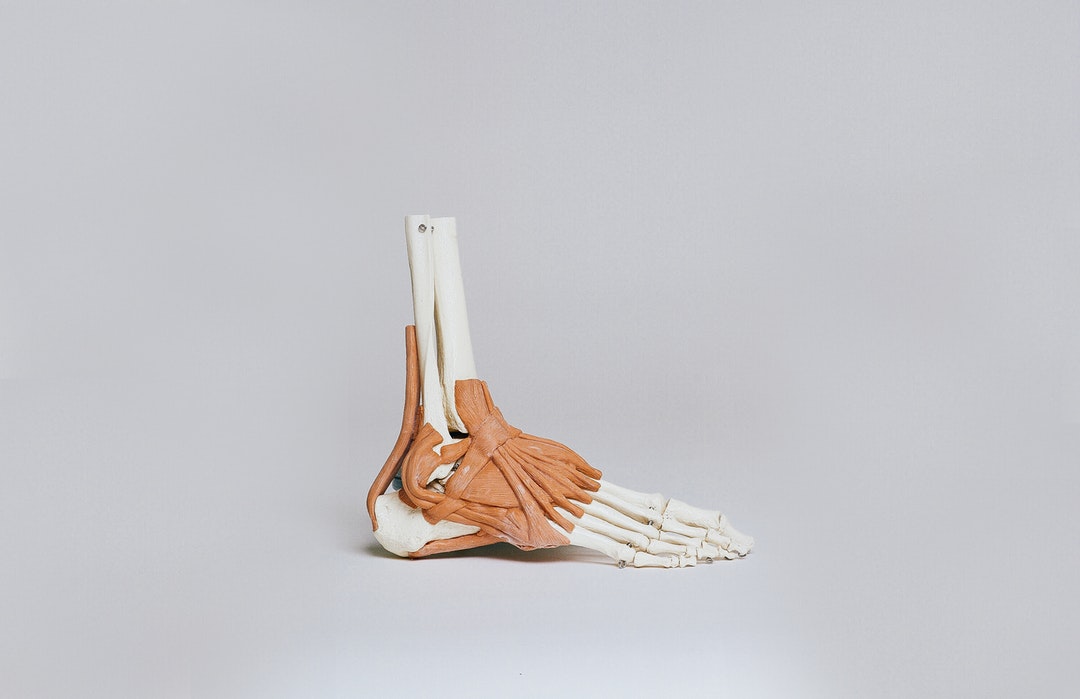 Injury Rehabilitation